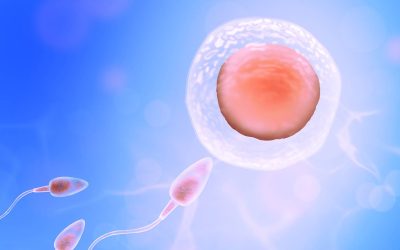 טיפים חשובים לגברים לשיפור כמות ואיכות הזרע